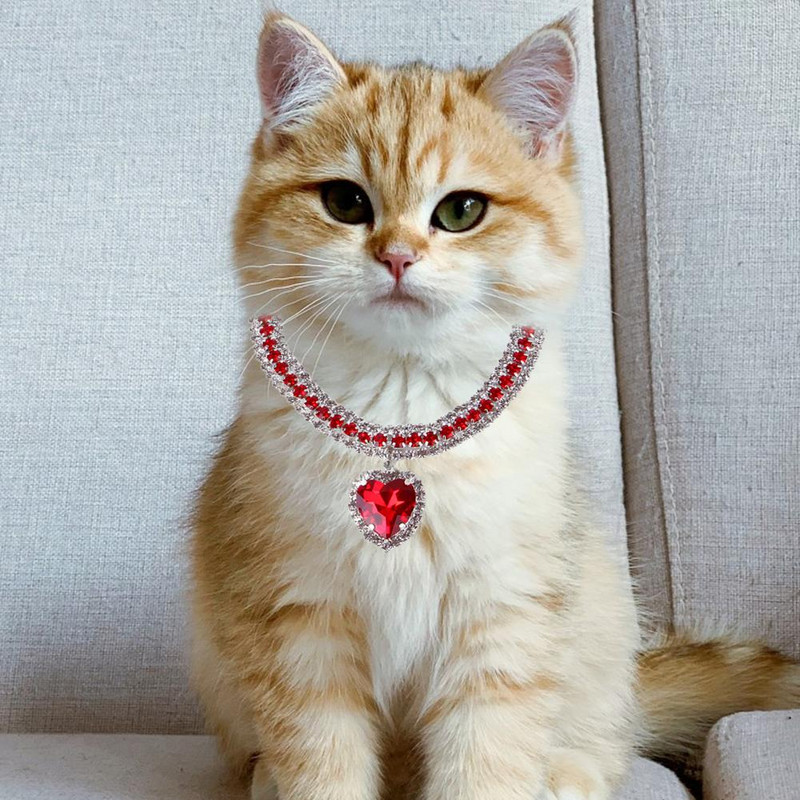 Ogrlica za kućne ljubimce Nakit za kućne ljubimce otporan na blijeđenje Ogrlica sa svjetlucavim kamenčićima Ogrlica za kućne ljubimce