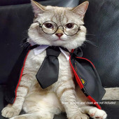 Kassi lipsu kikilips Reguleeritava rihmaga Pet Cosplay kaelaside Nahasõbralik Loominguline Mugav pulmadeks pühadeks pidudeks Kingitused