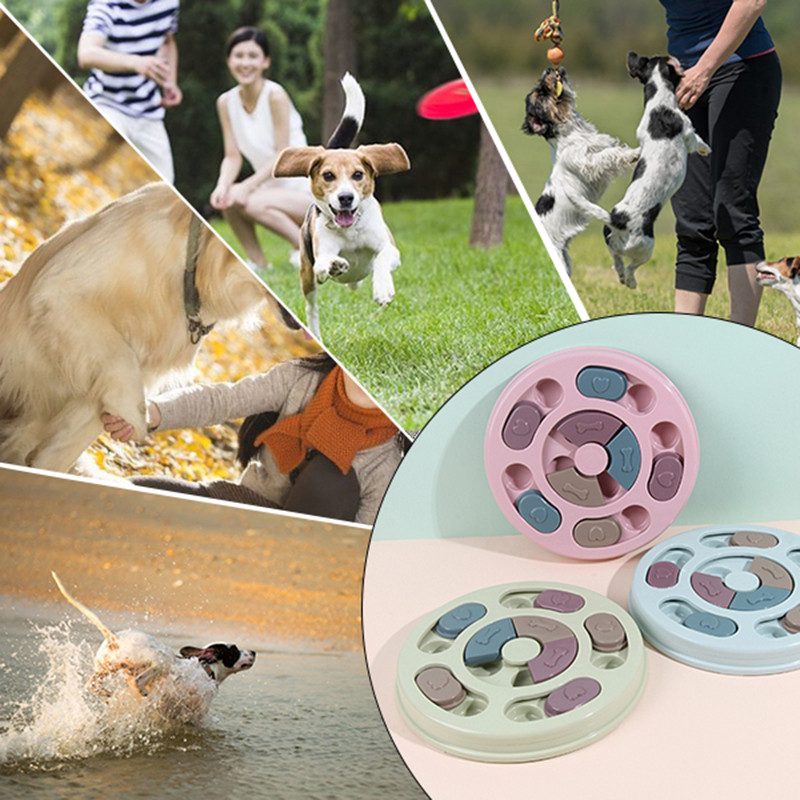 Lolojumdzīvnieku lēnās barības bļoda Maza suņa Aizrīšanās izturīga bļoda Neslīdoša lēnās barības padevēja suņiem Rīsu bļoda Mājdzīvnieku piederumi pieejami mājdzīvnieku kucēnam