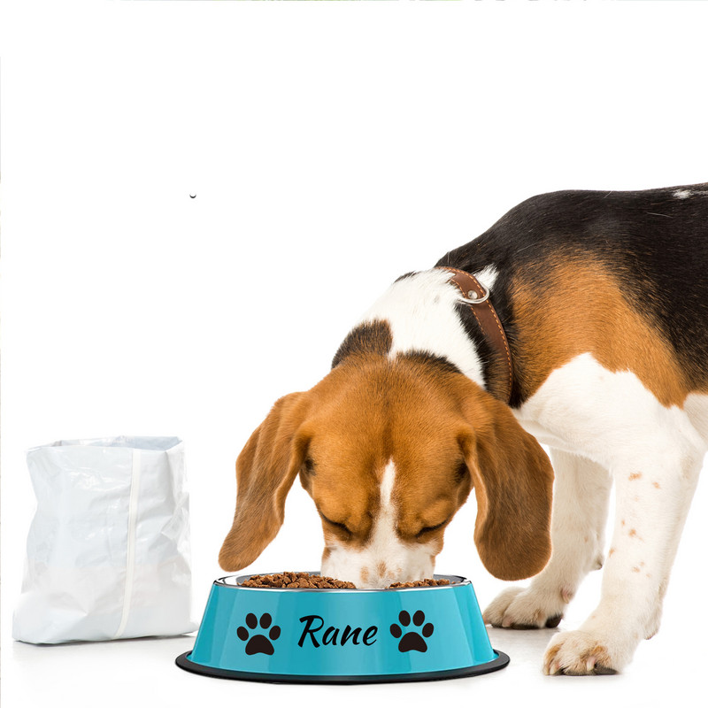 Personalizirano ime za psa mačku Kućni ljubimac, štene, mačja zdjela u boji od nehrđajućeg čelika Neklizajuća, izdržljiva zdjela za kućne ljubimce, hranilica, zdjela za vodu za hranjenje psa