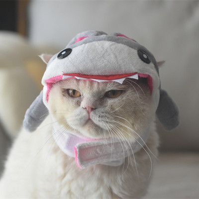 Armsad lilled Mane kassi paruka müts koertele ja kassidele Väike koer Lemmikloom Kassikaunistused Aksessuaarid Lõvi paruka kostüüm Ehteline juuksemüts Lemmikloomatarbed