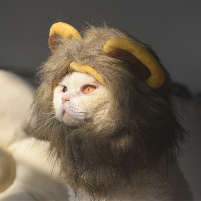 Armsad lilled Mane kassi paruka müts koertele ja kassidele Väike koer Lemmikloom Kassikaunistused Aksessuaarid Lõvi paruka kostüüm Ehteline juuksemüts Lemmikloomatarbed