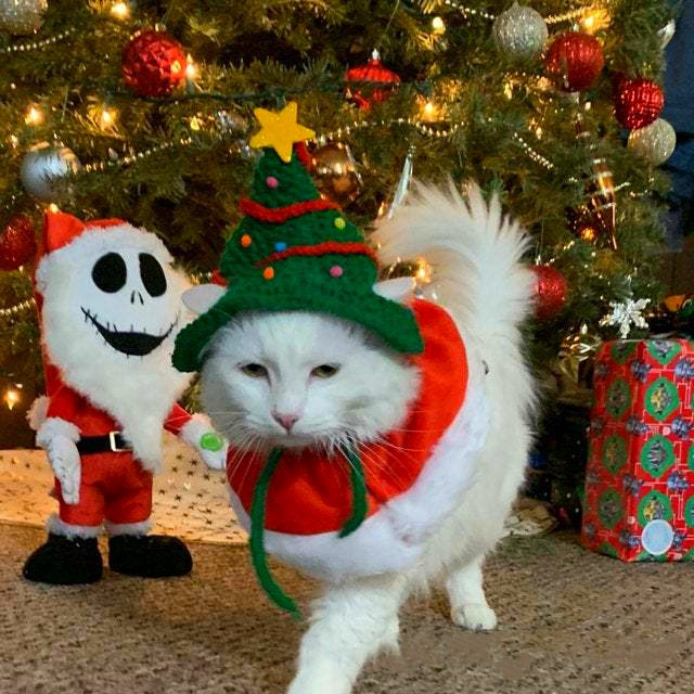 Jõulukaunistused Kassikübar Käsitsi valmistatud jõulupuu kuju Lemmikloomade riided Müts Armas koera peakate Cosplay Aksessuaarid Lemmikloomatarbed