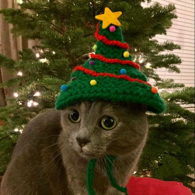 Jõulukaunistused Kassikübar Käsitsi valmistatud jõulupuu kuju Lemmikloomade riided Müts Armas koera peakate Cosplay Aksessuaarid Lemmikloomatarbed