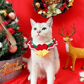 Jõulud koerakass unikaalsed keebid Roheline kaelakee Jõuluvana Müts Lemmikloom Bandana Kassipoeg Kaunistus Hooldus Aksessuaarid Käsitsi kootud asjad