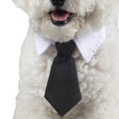 Koera kassi hooldamine Triibuline kikilips Loomade triibuline kikilipsu kaelarihm Lemmiklooma reguleeritav jõulukassi kaelarihm Väikese keskmise koera aksessuaar