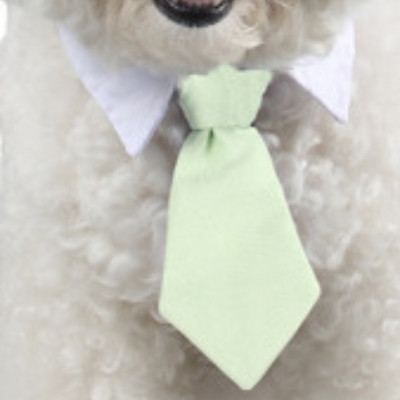 Koera kassi hooldamine Triibuline kikilips Loomade triibuline kikilipsu kaelarihm Lemmiklooma reguleeritav jõulukassi kaelarihm Väikese keskmise koera aksessuaar