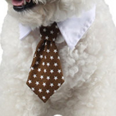 Koera kassi hooldamine Triibuline kikilips Loomade triibuline kikilipsu kaelarihm Lemmiklooma reguleeritav jõulukassi kaelarihm Väikese keskmise koera aksessuaar