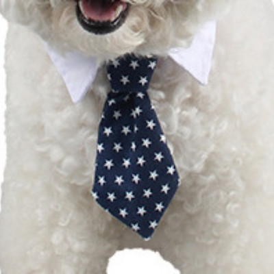 Koera kassi hooldamine Triibuline kikilips Loomade triibuline kikilipsu kaelarihm Lemmiklooma reguleeritav jõulukassi kaelarihm Väikese keskmise koera aksessuaar