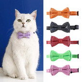 Candy Color Kassipoegade kaelarihm Lemmiklooma kaelarihm Lemmiklooma kaelarihm Väikese koera kaelarihm lemmiklooma kaelarihm koera kaelarihm