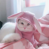 1 PC Naočale za mačke za kućne ljubimce Modne slatke sunčane naočale za oči za mačke Za male ljubimce Fotografije Rekviziti Dodaci za pse Proizvodi za kućne ljubimce