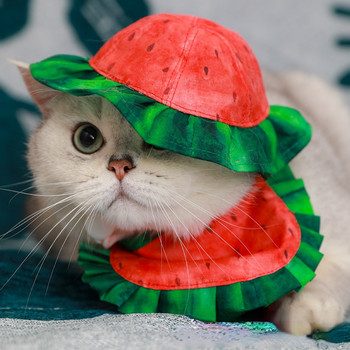 Ins Summer New Pet Sun Hat Pet Dress Hat Диня Шапка Bib Cat Sun Hat Малки кучета Аксесоари Cat Hat Pet Party Decoration