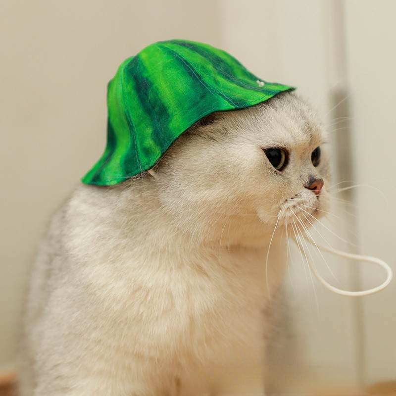 Ins Vasara Jauna mājdzīvnieku sauļošanās cepure Mājdzīvnieku kleita cepure arbūzs cepure Bib Kaķu saules cepure Mazs suns aksesuāri Kaķu cepure Mājdzīvnieku ballītes dekorēšana