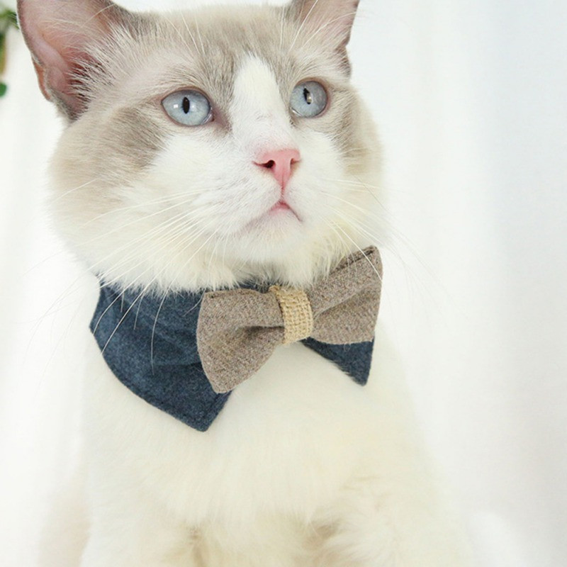 Mačka Pas Bibs Šal Ovratnik Mačka Štene Dodaci Pas Mačka Džentlmenski Šal Leptir leptir Ovratnik Leptir mašna Dekoracija odijela za zabavu