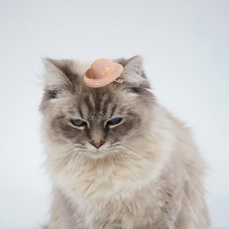 Lemmiklooma juuksenõel Armas peene töötlusega polüestermütsi kujuga peen peakatteklamber igapäevaseks kasutamiseks