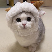 Dodaci za mačke Kapa za pse Ovčice Slatka maska za glavu Mačić Crtić Prekrasan šešir za igru