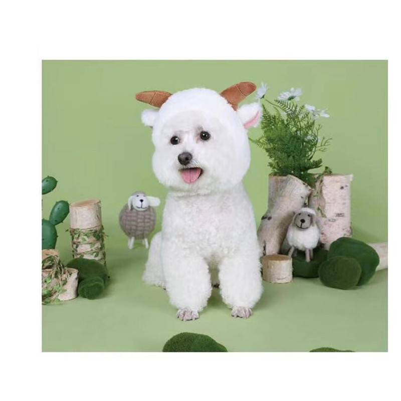 Dodaci za mačke Kapa za pse Ovčice Slatka maska za glavu Mačić Crtić Prekrasan šešir za igru