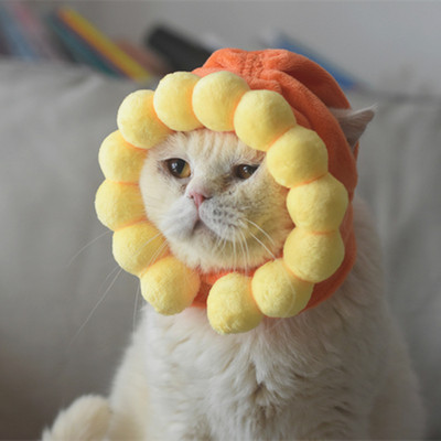 Slatka ovčja griva, mačka, šešir s perikom za pse i mačke, mali pas, kućni ljubimac, mačka, ukrasni dodaci, kostim s lavljom perikom, kapa za kućne ljubimce