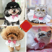 Mačka, pas, čipkasta ogrlica, ogrlica, mačja ogrlica s podesivim užetom, leptir mašnom, ukras, tanki pribor za kućne ljubimce