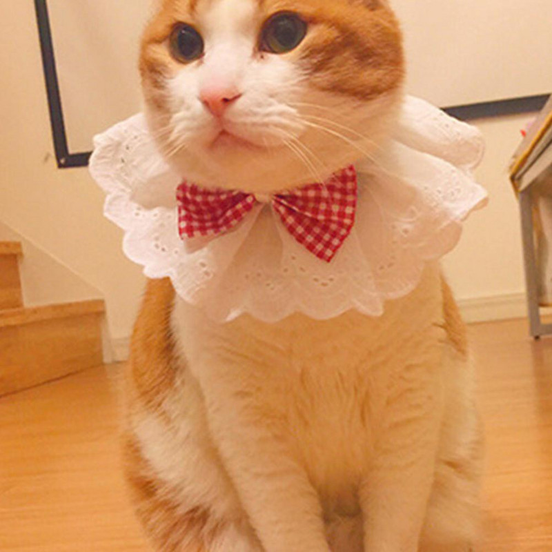 Mačka, pas, čipkasta ogrlica, ogrlica, mačja ogrlica s podesivim užetom, leptir mašnom, ukras, tanki pribor za kućne ljubimce