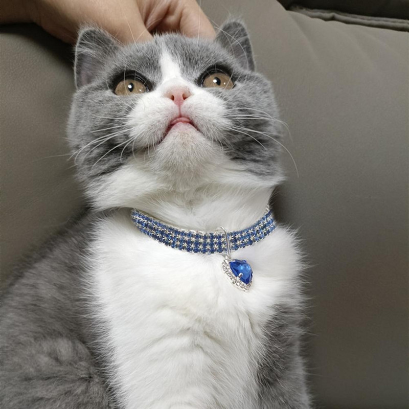 Ogrlica za kućne ljubimce Svjetlucava površina protiv oksidacije Privlačna ogrlica s nakitom za mačke za kućne ljubimce s privjeskom u obliku srca ljubavi Potrepštine za kućne ljubimce