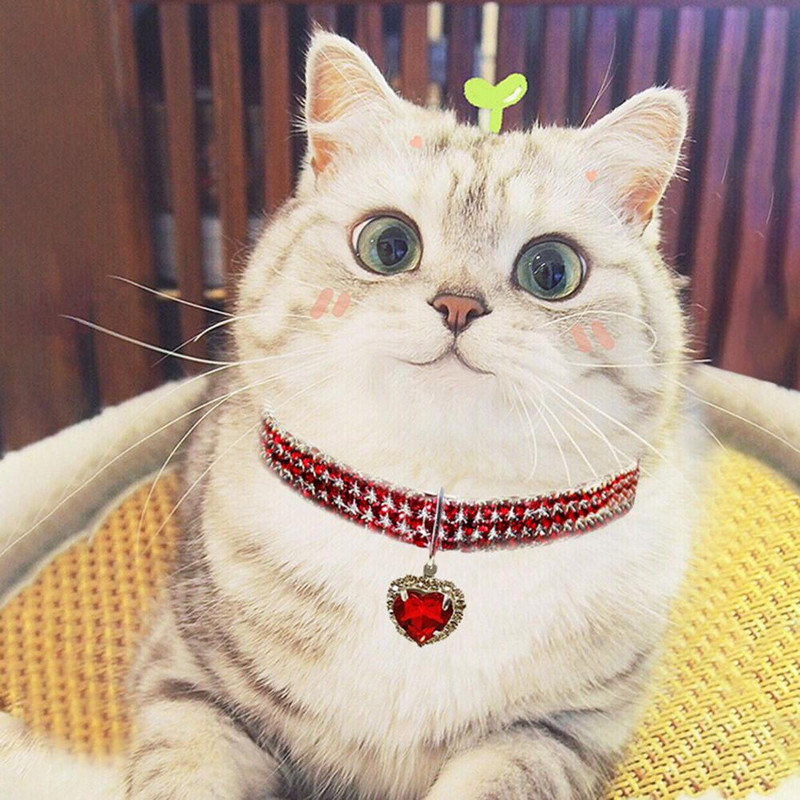 Ogrlica za kućne ljubimce Svjetlucava površina protiv oksidacije Privlačna ogrlica s nakitom za mačke za kućne ljubimce s privjeskom u obliku srca ljubavi Potrepštine za kućne ljubimce