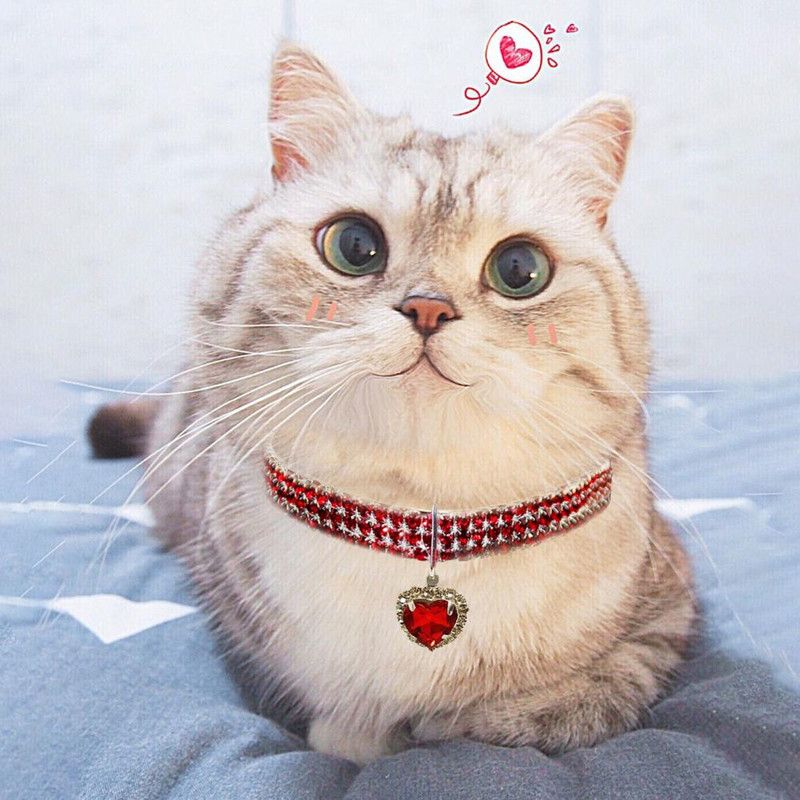 Ogrlica za kućne ljubimce Svjetlucava površina protiv oksidacije Privlačna ogrlica s nakitom za mačke za kućne ljubimce s privjeskom u obliku srca ljubavi Potrepštine za kućne ljubimce