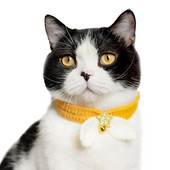 1 gab Trikotāžas kaķa kakla siksna Vilnas mājdzīvnieku kakla dekors Roku darbs kucēnu šalle Kaķēna kakla lakats ar zvana kaķa suņu piederumiem mājdzīvnieku piederumi