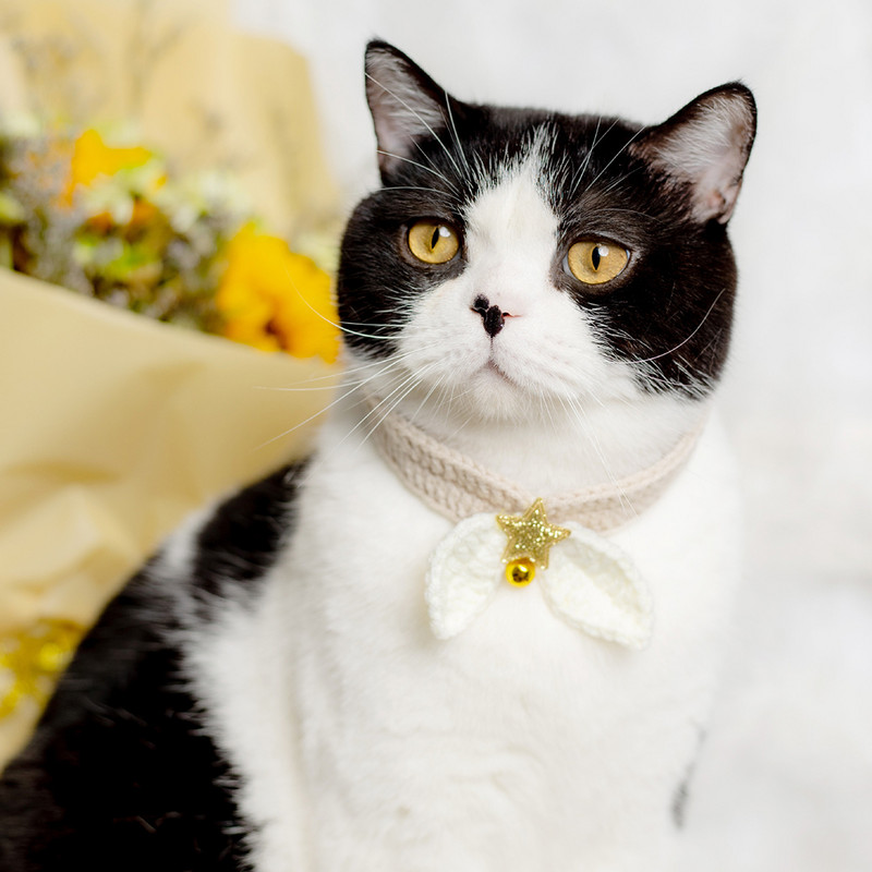 1 gab Trikotāžas kaķa kakla siksna Vilnas mājdzīvnieku kakla dekors Roku darbs kucēnu šalle Kaķēna kakla lakats ar zvana kaķa suņu piederumiem mājdzīvnieku piederumi