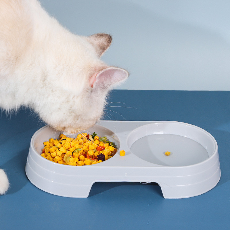 Nerūsējošā tērauda dubultās bļodas Mājdzīvnieku suņu barība Ūdens padevējs Dzeršanas trauku padevējs Kaķu kucēnu barošanas piederumi Mazie suņu piederumi 4