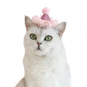 Dress Up Poliester Cat Princess Šešir sa šljokicama Ukras za kućne ljubimce Proizvod za kućne ljubimce