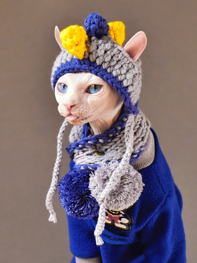 Ar rokām adīts vilnas cepures uzvalks kaķiem bez matiem Sfinksa kaķis Jauka šalle Devon Rex Cap Pet Kitten Siltas pupiņas Kaķis Aksesuāri sfinksa