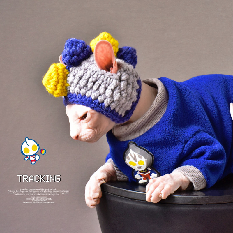 Ar rokām adīts vilnas cepures uzvalks kaķiem bez matiem Sfinksa kaķis Jauka šalle Devon Rex Cap Pet Kitten Siltas pupiņas Kaķis Aksesuāri sfinksa