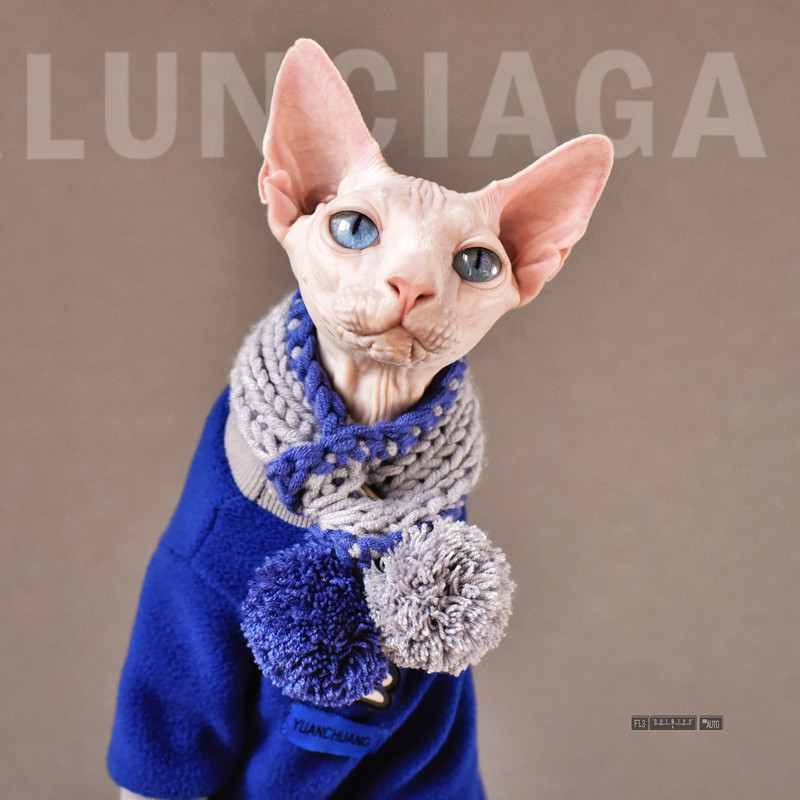 Ar rokām adīts vilnas cepures uzvalks kaķiem bez matiem Sfinksa kaķis Jauka šalle Devon Rex Cap Pet Kitten Siltas pupiņas Kaķis Aksesuāri sfinksa