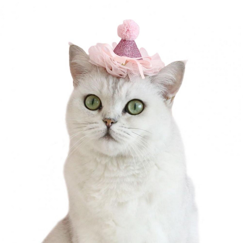 Lemmiklooma peakatted võluv ülikerge polüestrist sädelev lemmikloomakassi litritega mütsi fotograafia tugi lemmikloomatoode