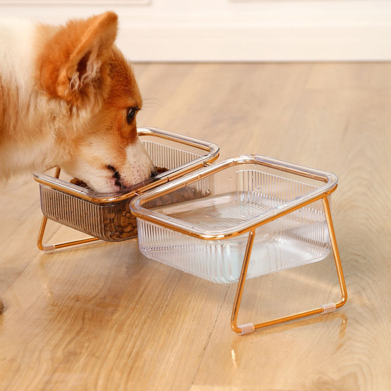 Kassi topeltkauss, kallutatud kõrgendatud lemmiklooma toitmisnõu metallist aluse kaitsega emakakaela libisemiskindel toitmisnõu koeratarvete jaoks