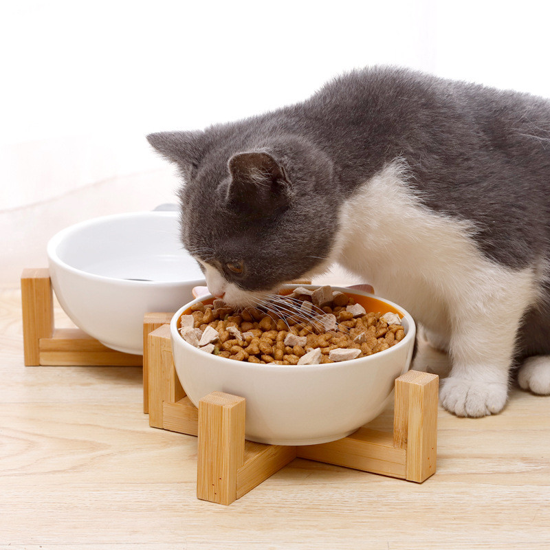 Keramička zdjela za pse podignuta Okrugla zdjela za pse i mačke Bez prolijevanja Posuda za kućne ljubimce za hranu Hranjenje vodom Slatka posuda s otisnutim crtićima za kućne ljubimce