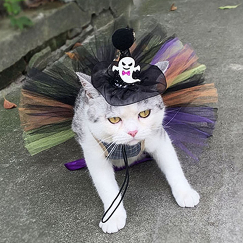 Lemmikloomade Halloweeni kostüümikomplekt Uus moodne võrgust Halloweeni müts kikilipsuga Tutu seelik Lemmikloomad Rõivad ja aksessuaarid Kassid Koerte Varustus
