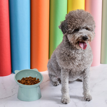 Μπολ για σκύλους Raised Cat Food Bowls με υπερυψωμένη βάση Μπολ τροφοδοσίας κατοικίδιων χωρίς διαρροή 45° Κεκλιμένο πιάτο για κατοικίδια Μπλε/Πράσινο/Ροζ