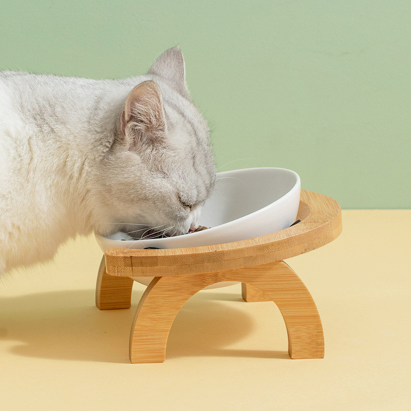 Keramička zdjela s hranom za hranjenje mačaka sa stalkom Dvostruke zdjelice za hranjenje kućnih ljubimaca Visoko stopalo Mlijeko za male pse Zalihe vode Zdjela za štene za mačke