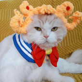 Dugotrajna, mekana, otporna na ugrize, pletena kapa za kućne ljubimce, pletena kapa za zabavu, šešir za kućne ljubimce