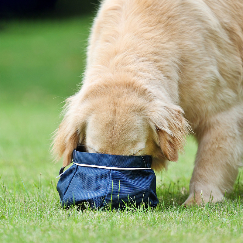 Prijenosne sklopive zdjelice za hranu i pojilice za pse, mačke, putovanja, kućni ljubimci, psi, kampiranje, vanjska oprema, artikli, pribor