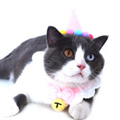 Armsad lemmikloomad Koer Kassid Sünnipäevamütsid Jõulumüts lausriidest reguleeritav koerapeakate Kassi jõuluvana müts kutsika kostüüm