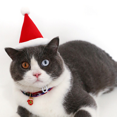 Armsad lemmikloomad Koer Kassid Sünnipäevamütsid Jõulumüts lausriidest reguleeritav koerapeakate Kassi jõuluvana müts kutsika kostüüm