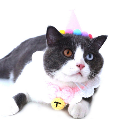 Armsad lemmikloomad Koer Kassid Sünnipäevamütsid Jõulumüts lausriidest reguleeritav koerapeakate Kassi jõuluvana müts kutsika kostüüm