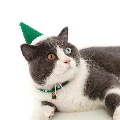 Armsad lemmikloomad Koer Kassid Sünnipäevamütsid Jõulumüts lausriidest reguleeritav koerapeakate Kassi jõuluvana müts kutsika kostüüm