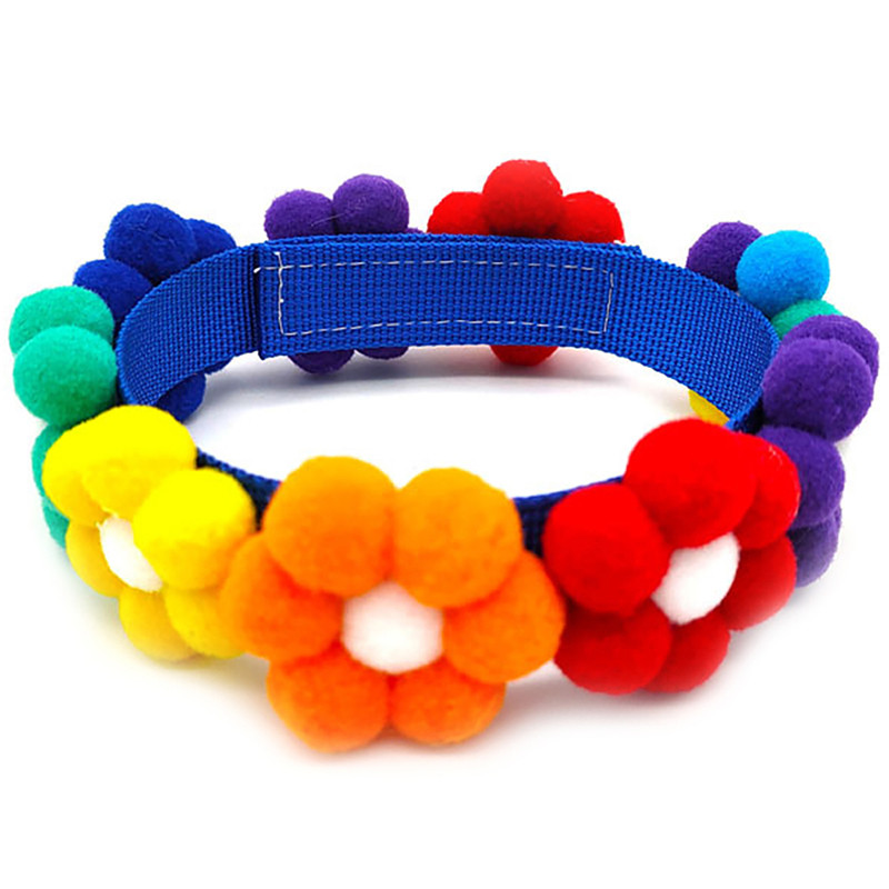 Kassi kaelarihm Vikerkaarelillega dekoratiivne kassipoegade kaelakee Pehme kutsika kaelarihm Reguleeritav koera kaelarihm Lemmiklooma kaelarihm Lemmikloomade aksessuaarid