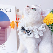 Praktična čipkana ogrlica, remen za vrat, šal, mačkasti ovratnik, modni, prozračan