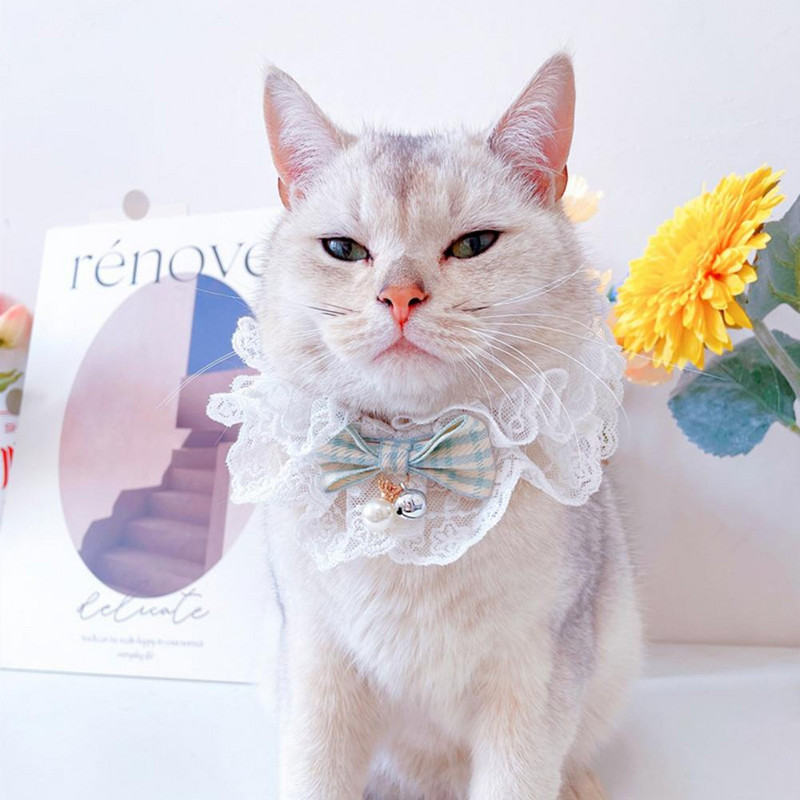 Praktična čipkana ogrlica, remen za vrat, šal, mačkasti ovratnik, modni, prozračan