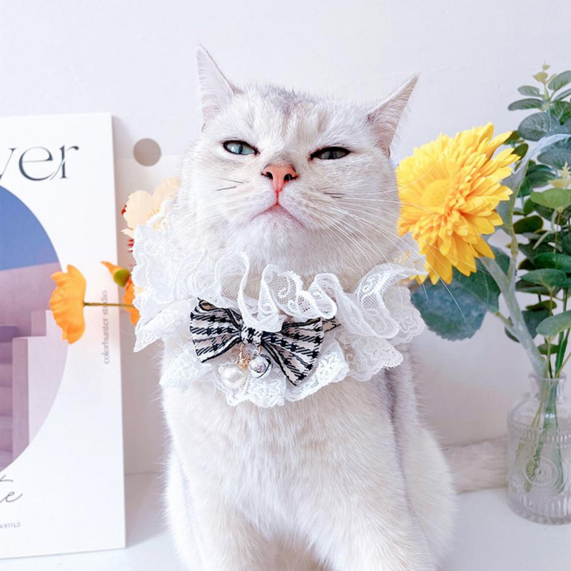 Praktična čipkana ogrlica, remen za vrat, šal, mačkasti ovratnik, modni, prozračan